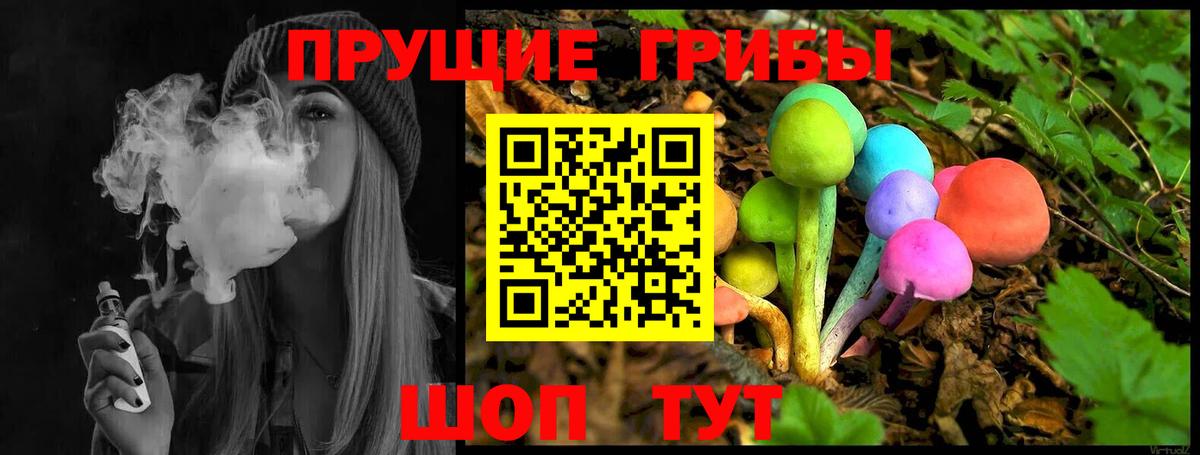 Алексеевка  Псилоцибиновые грибы Magic Shrooms  Вход с VPN  Псилоцибиновые грибы мухоморы 